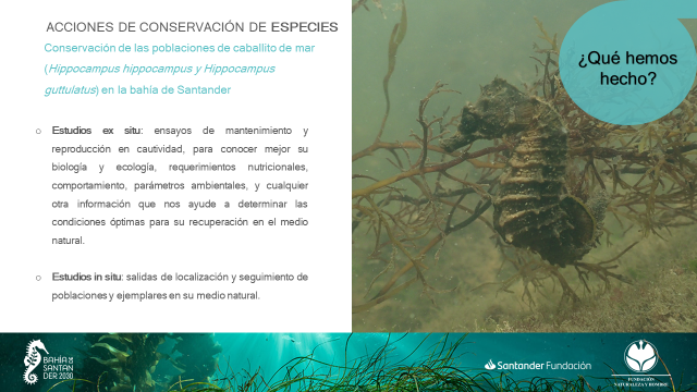 Gallery slide