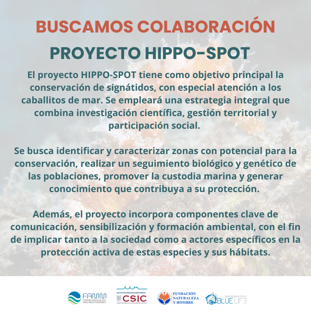 ¡BUSCAMOS COLABORACIÓN PARA EL PROYECTO "HIPPO-SPOT"!